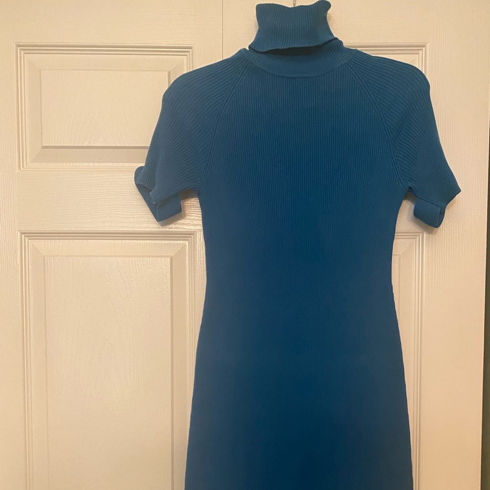 Venus short sleeve sweater dress